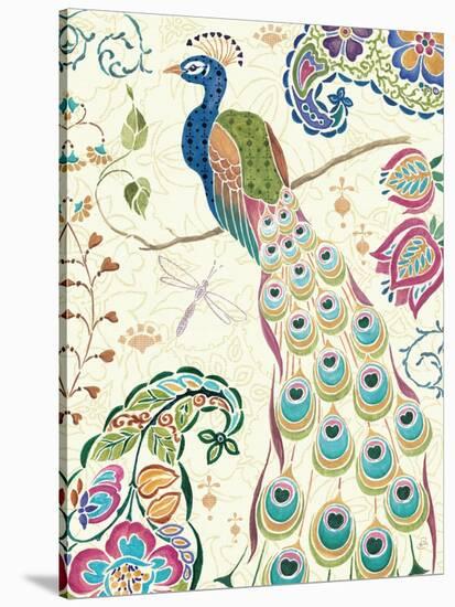 Peacock Fantasy III-Daphne Brissonnet-Stretched Canvas