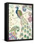 Peacock Fantasy III-Daphne Brissonnet-Framed Stretched Canvas