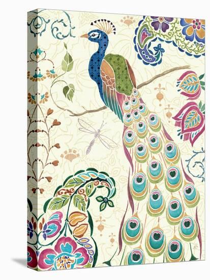 Peacock Fantasy III-Daphne Brissonnet-Stretched Canvas