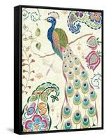 Peacock Fantasy III-Daphne Brissonnet-Framed Stretched Canvas