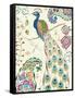 Peacock Fantasy III-Daphne Brissonnet-Framed Stretched Canvas