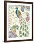 Peacock Fantasy III-Daphne Brissonnet-Framed Art Print