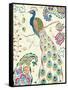 Peacock Fantasy III-Daphne Brissonnet-Framed Stretched Canvas