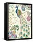 Peacock Fantasy III-Daphne Brissonnet-Framed Stretched Canvas