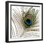 Peacock Feather 01-Tom Quartermaine-Framed Giclee Print