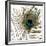 Peacock Feather 01-Tom Quartermaine-Framed Giclee Print