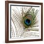 Peacock Feather 01-Tom Quartermaine-Framed Giclee Print