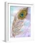 Peacock Feather 1-Beverly Dyer-Framed Art Print