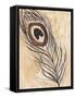 Peacock Feather 2-Beverly Dyer-Framed Stretched Canvas