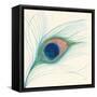 Peacock Feather I-Miranda Thomas-Framed Stretched Canvas