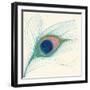 Peacock Feather I-Miranda Thomas-Framed Art Print