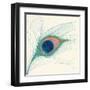 Peacock Feather I-Miranda Thomas-Framed Art Print