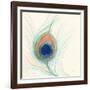 Peacock Feather II-Miranda Thomas-Framed Art Print