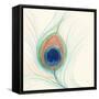 Peacock Feather II-Miranda Thomas-Framed Stretched Canvas