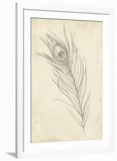 Peacock Feather Sketch I-Ethan Harper-Framed Premium Giclee Print