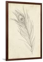 Peacock Feather Sketch I-Ethan Harper-Framed Art Print