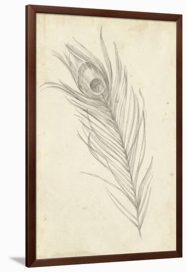 Peacock Feather Sketch I-Ethan Harper-Framed Art Print