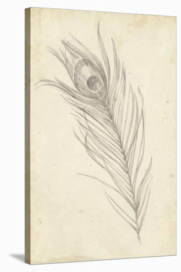 Peacock Feather Sketch I-Ethan Harper-Stretched Canvas