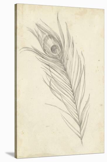 Peacock Feather Sketch I-Ethan Harper-Stretched Canvas