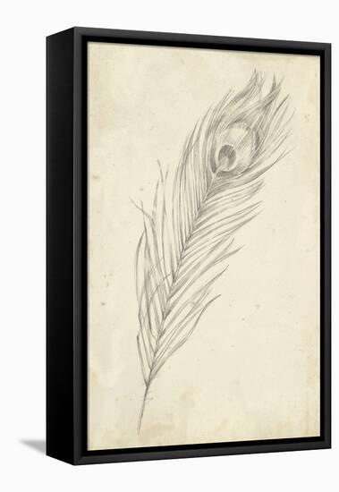 Peacock Feather Sketch II-Ethan Harper-Framed Stretched Canvas