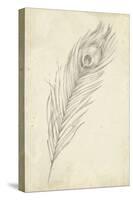 Peacock Feather Sketch II-Ethan Harper-Stretched Canvas
