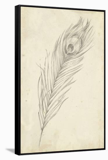 Peacock Feather Sketch II-Ethan Harper-Framed Stretched Canvas