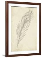 Peacock Feather Sketch II-Ethan Harper-Framed Premium Giclee Print