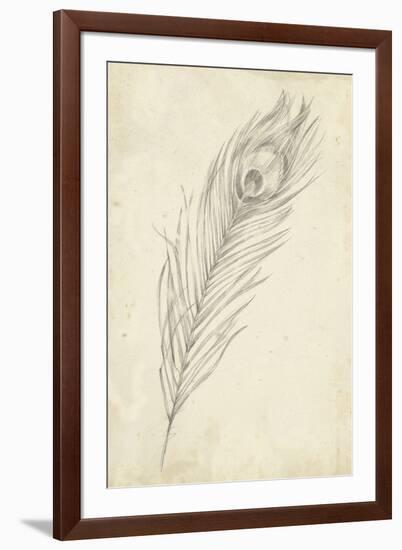 Peacock Feather Sketch II-Ethan Harper-Framed Premium Giclee Print