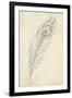 Peacock Feather Sketch II-Ethan Harper-Framed Premium Giclee Print