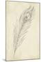 Peacock Feather Sketch II-Ethan Harper-Mounted Premium Giclee Print