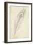 Peacock Feather Sketch II-Ethan Harper-Framed Art Print