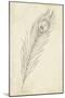 Peacock Feather Sketch II-Ethan Harper-Mounted Art Print