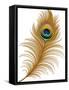 Peacock Feather-jara3000-Framed Stretched Canvas