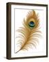 Peacock Feather-jara3000-Framed Art Print