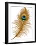 Peacock Feather-jara3000-Framed Art Print