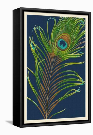 Peacock Feather-Lantern Press-Framed Stretched Canvas