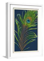 Peacock Feather-Lantern Press-Framed Art Print