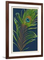 Peacock Feather-Lantern Press-Framed Art Print