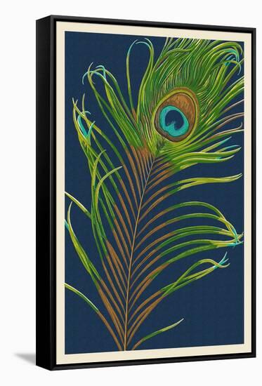 Peacock Feather-Lantern Press-Framed Stretched Canvas