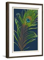 Peacock Feather-Lantern Press-Framed Art Print