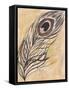 Peacock Feather-Beverly Dyer-Framed Stretched Canvas