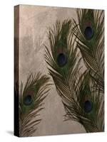 Peacock Feathers I-Natasha Wescoat-Stretched Canvas