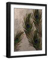 Peacock Feathers I-Natasha Wescoat-Framed Giclee Print