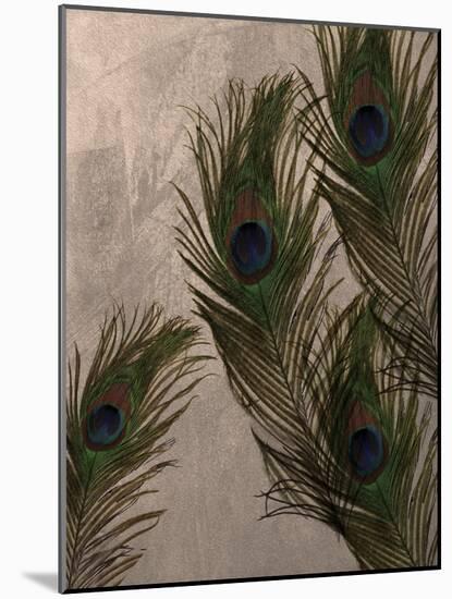 Peacock Feathers I-Natasha Wescoat-Mounted Giclee Print