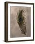 Peacock Feathers II-Natasha Wescoat-Framed Giclee Print