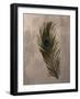 Peacock Feathers II-Natasha Wescoat-Framed Giclee Print