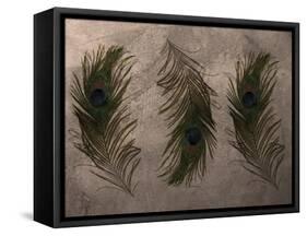 Peacock Feathers III-Natasha Wescoat-Framed Stretched Canvas