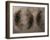 Peacock Feathers III-Natasha Wescoat-Framed Giclee Print