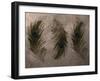 Peacock Feathers III-Natasha Wescoat-Framed Giclee Print