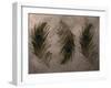 Peacock Feathers III-Natasha Wescoat-Framed Giclee Print